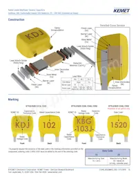 C317C100K2G5TA7301 Datasheet Pagina 15