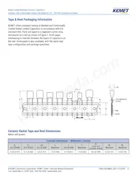 C317C100K2G5TA7301 Datasheet Page 17