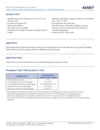 C320C102J1G5TA91707301 Datasheet Page 2