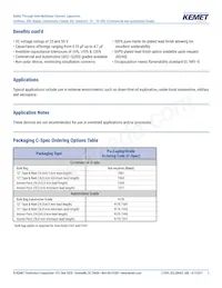 C320C105K5N5TA9170 Datenblatt Seite 2