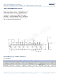 C320C105K5N5TA9170 Datenblatt Seite 13