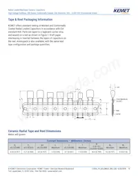 C322C271JCG5TA Datasheet Pagina 19