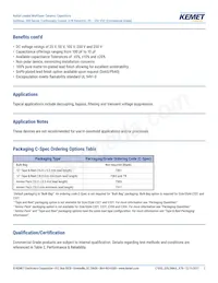 C323C824J1R5TA Datasheet Page 2