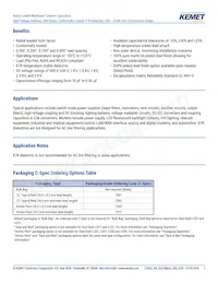 C330C124KCR5TA Datenblatt Seite 2