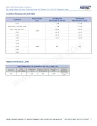 C330C124KCR5TA Datenblatt Seite 5