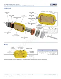 C420C822K2G5TA Datasheet Page 12