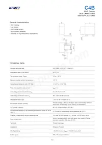 C4BSNBX4150ZBJJ Datasheet Copertura