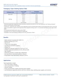 C901U510JZSDAAWL45 Datasheet Page 2