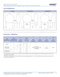 C901U510JZSDAAWL45 Datasheet Page 3