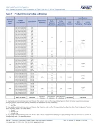 C901U510JZSDAAWL45 Datasheet Page 5