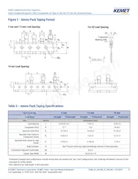 C901U510JZSDAAWL45 Datasheet Page 13