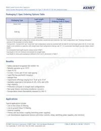 C967U682MYVDBA7317 Datasheet Page 2