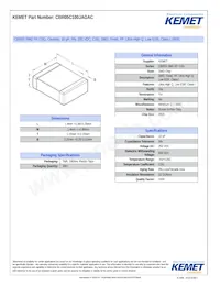 CBR05C100JAGAC Datasheet Cover