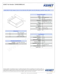 CBR05C608BAGAC Datasheet Copertura