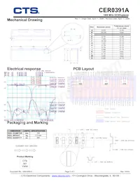 CER0391A Datasheet Page 2