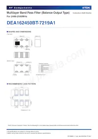 DEA162450BT-7219A1 Datasheet Page 2
