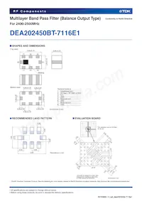 DEA202450BT-7116E1 Datasheet Page 2