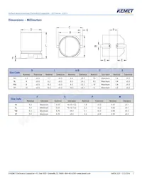 EDT476M016A9HAA Datasheet Pagina 2