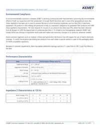 EEV107M016S9GAA Datasheet Pagina 3