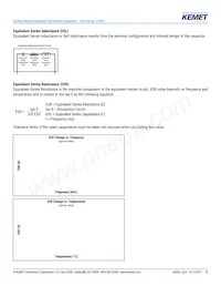 EEV107M016S9GAA Datasheet Pagina 10