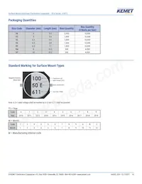 EEV107M016S9GAA Datasheet Pagina 14