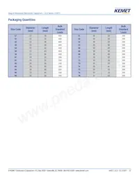 ELG688M063AT4AA Datasheet Pagina 22