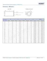 ESG336M450AM2AA Datasheet Page 3