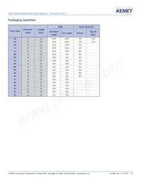 ESG336M450AM2AA Datasheet Pagina 15