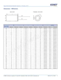 ESY476M100AH1AA Datasheet Pagina 3