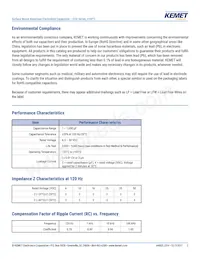 EXV226M016A9DAA Datasheet Pagina 3