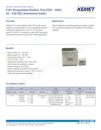 F161ZS475K100V Datasheet Cover