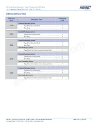 F161ZS475K100V Datasheet Page 2