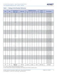 F161ZS475K100V Datasheet Page 5