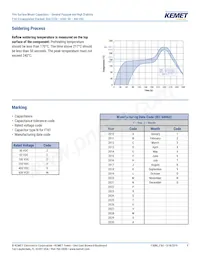 F161ZS475K100V Datasheet Page 9