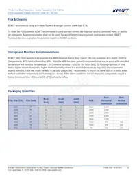 F161ZS475K100V Datasheet Page 10