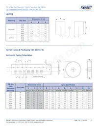 F161ZS475K100V Datasheet Page 11