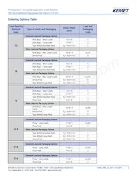 F861DU225K310ZLH0J Datasheet Page 2