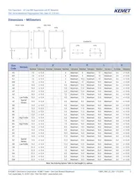 F861DU225K310ZLH0J 데이터 시트 페이지 3