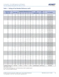 F861DU225K310ZLH0J Datasheet Pagina 10