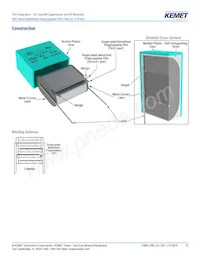 F861DU225K310ZLH0J Datasheet Pagina 13