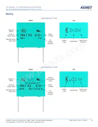 F861DU225K310ZLH0J Datasheet Page 14