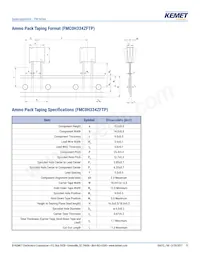 FME0H223ZF Datasheet Page 11
