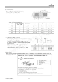 GA342A1XGF330JW31L Datasheet Page 21