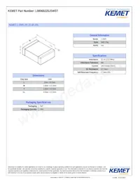 L0806B220JSWST Datasheet Copertura