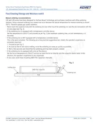 LDEEA2150JA0N00 Datasheet Page 16