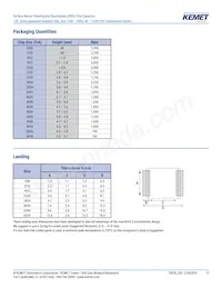 LDEEA2150JA0N00 Datasheet Page 17