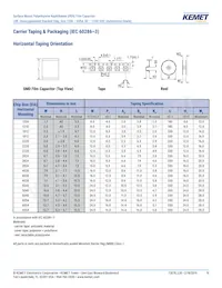 LDEEA2150JA0N00 Datasheet Page 19