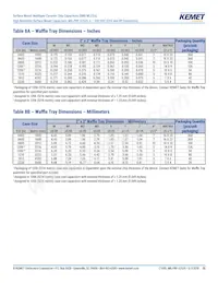 M3253502E1Z102JZMB Datasheet Page 20