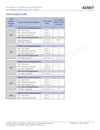 P278HE102M480A Datasheet Page 2