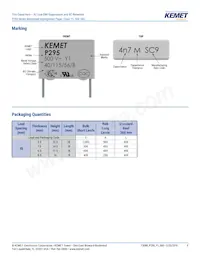 P295BL332M500A Datasheet Pagina 9